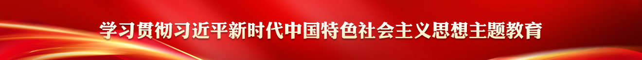 学习贯彻习近平新时代中国特色社会主义思想主题教育